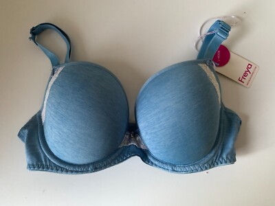 Freya Size 10DD Deco Amore J Hook Blue Bra NWT Underwire