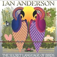 The Secret Language of Birds von Anderson,Ian | CD | Zustand sehr gut