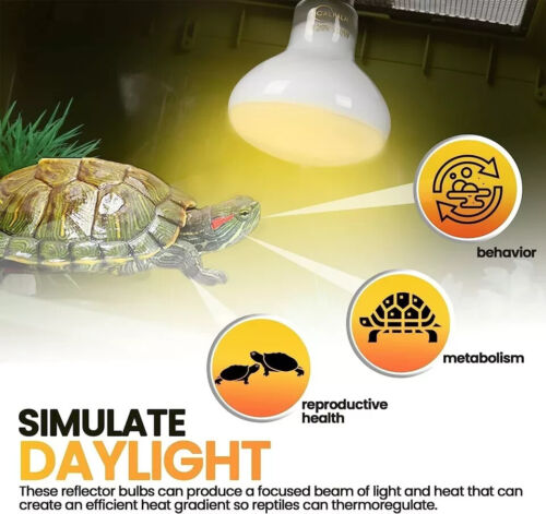 4-Pack 100W Reptile Heat Lamp Bulbs UVA Daylight Basking Light Bulbs for Reptile - Picture 3 of 6
