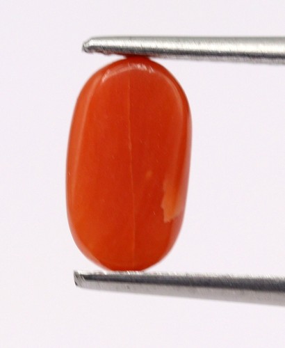 1.38 Ct Natural Saffron Red Coral Italy Loose Capsule Shape Untreated Gemstone - Picture 6 of 9