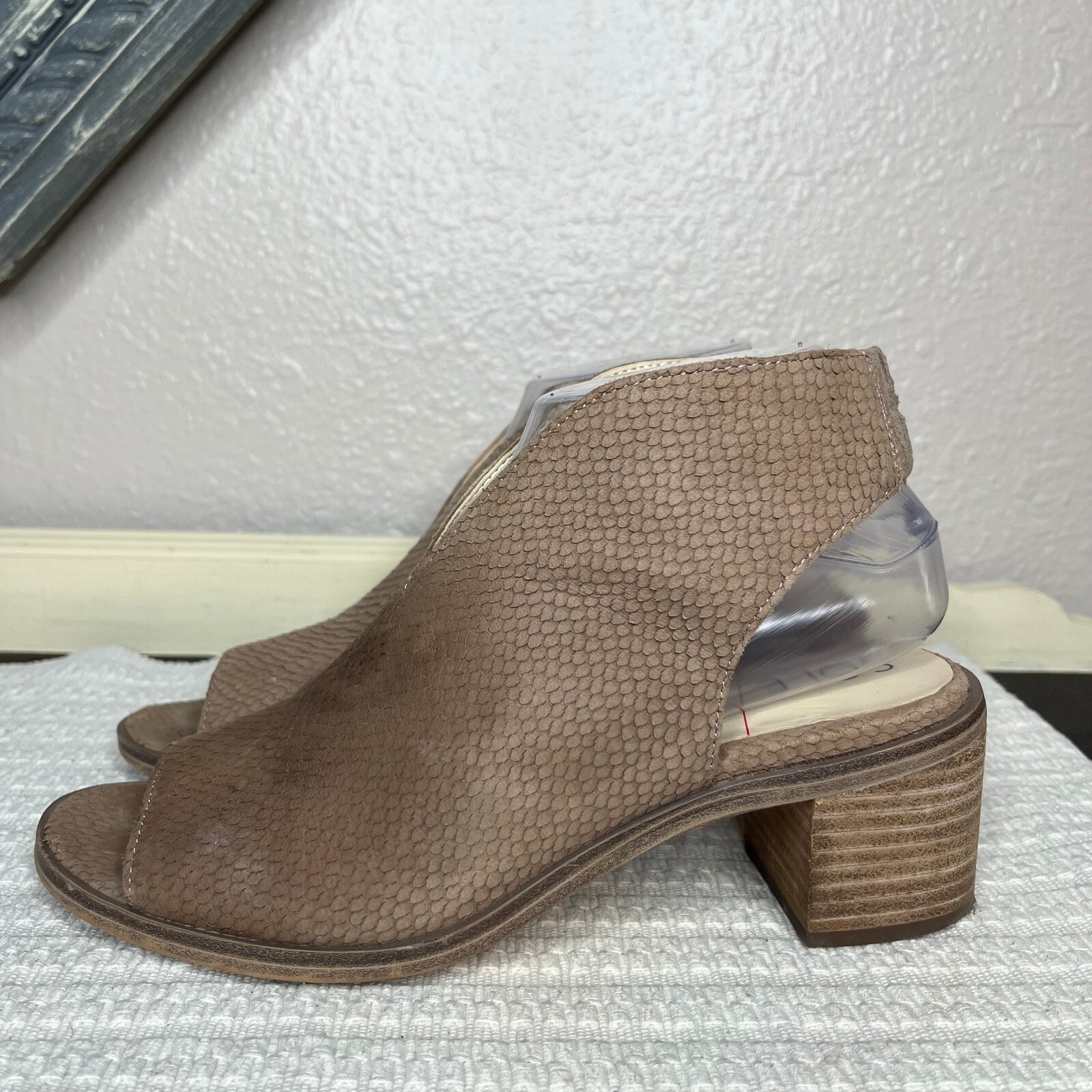 SAOLA Sole Society Terryn donna beige punta aperta serpente tacco a spillo in rilievo taglia 7 5