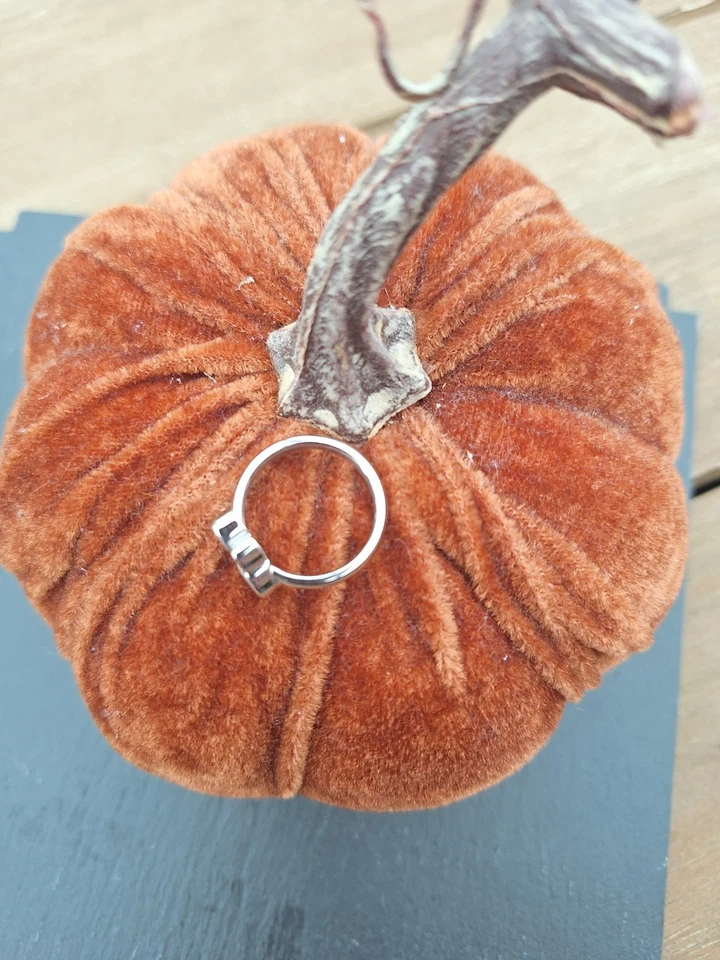 Ring Magnetschmuck mit Hundepfote - Bild 3 von 4