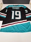 TROY TERRY #19 AUTOGRAPHED ANAHEIM DUCKS CUSTOM XL HOCKEY JERSEY JSA-COA