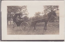 COUPLE POSING IN HORSE DRAWN CARRIAGE BUGGY ANTIQUE REAL PHOTO POSTCARD #2