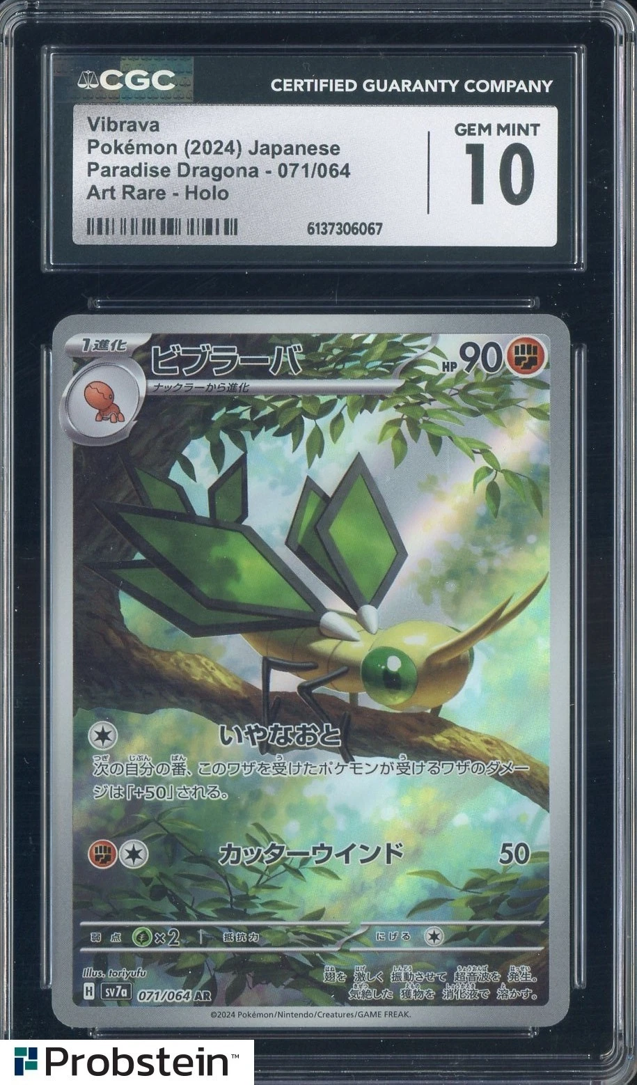 Vibrava (JP)