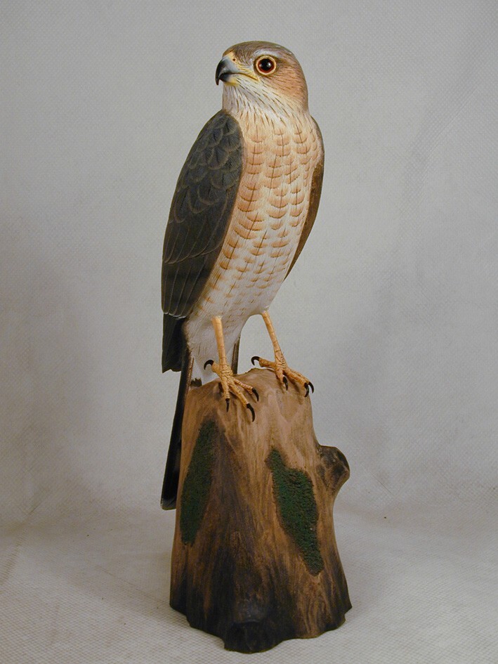 Sharp-shinned Hawk Original Wood Carving | eBay