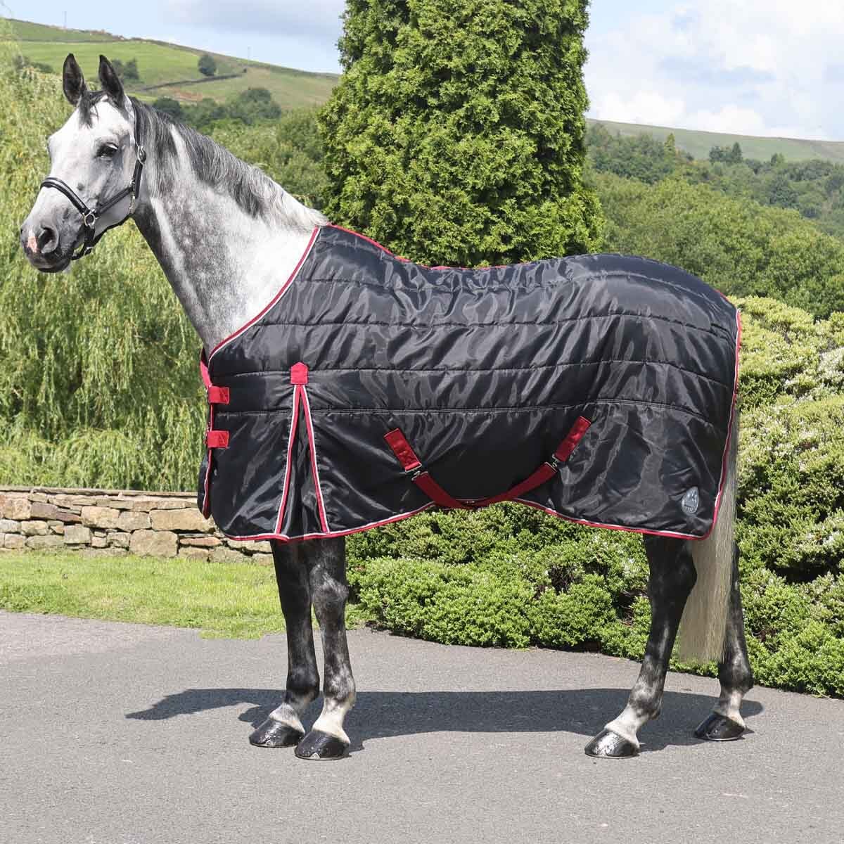 Stable Rugs Best Lightweight Stable Rug With Comparison - May 2025 ...