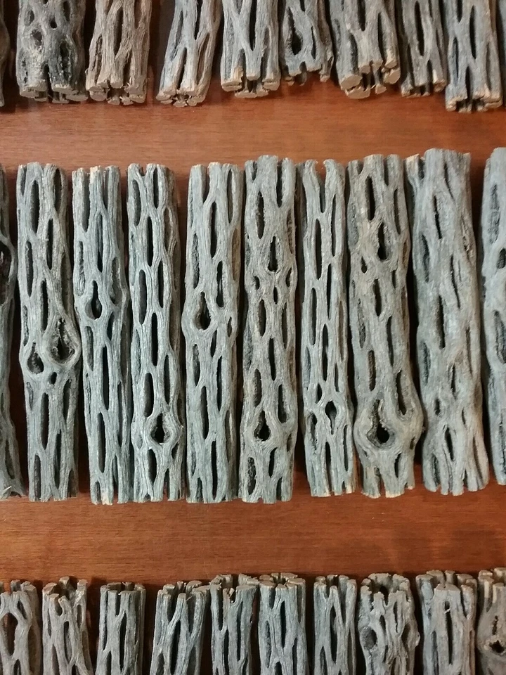 NEW 30 pcs CHOLLA Wood | 3 Sizes Multi-Pack | Organic Driftwood | Craft Aquarium - Image 3 of 4