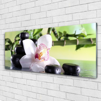 Tableau Sur Verre Acrylique - 125x50 Cm - Thème Nature (pierres, Fleurs, Bambou) - Neuf