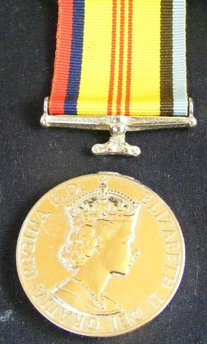 Orig Australian Group 3 Medals: AASM Vietnam, Log Supt, Nat Service, Cordell - Picture 5 of 9