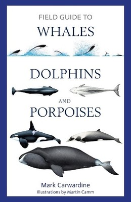 Mark Carwardine Field Guide to Whales, Dolphins and Porpoises (Taschenbuch)