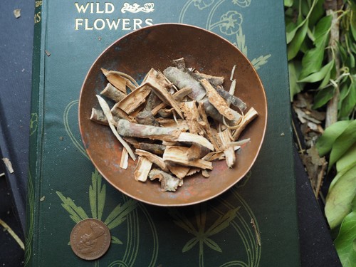 English Tree Barks for Incense & Spell makings - Wicca, Pagan, Magic, Witchcraft - Picture 15 of 96