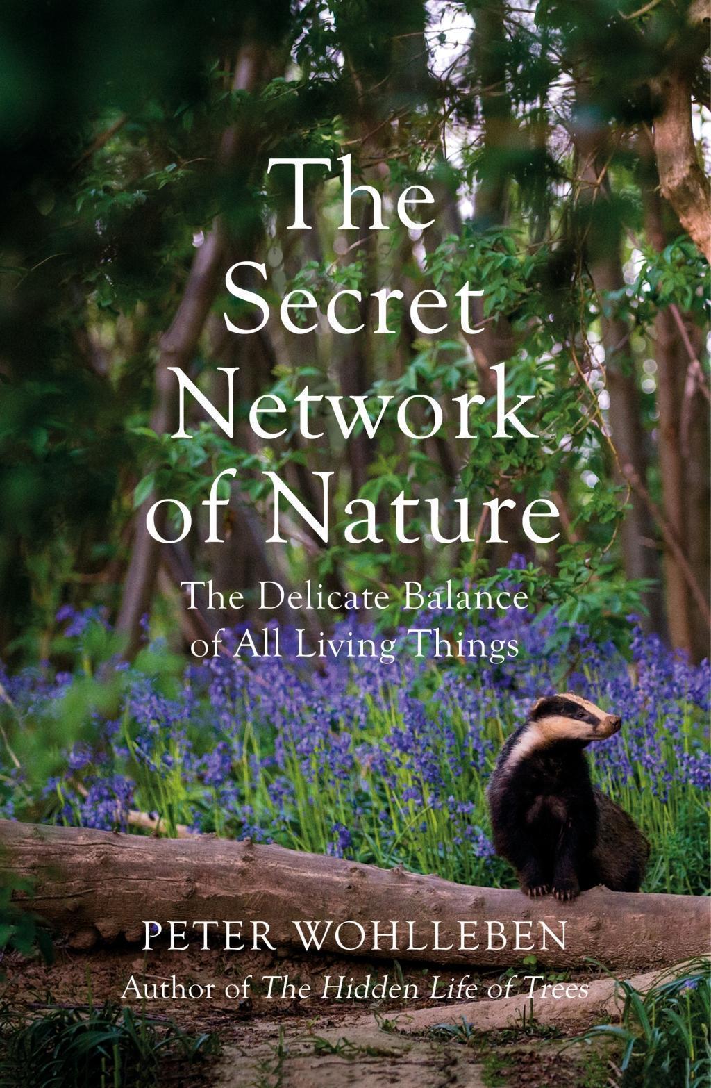 Thumbnail - Peter Wohlleben / The Secret Network Of Nature / 9781784708498