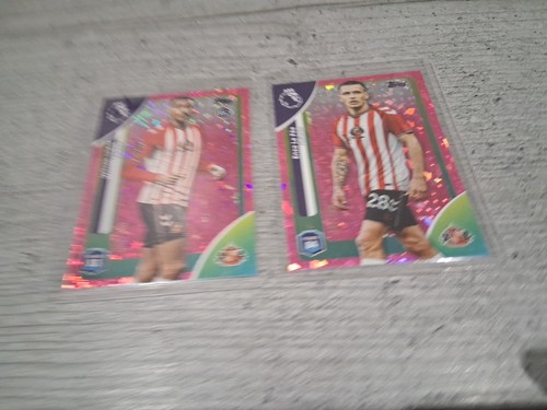 X2 Sunderland nummerierte Karten Le Fee und Isidor