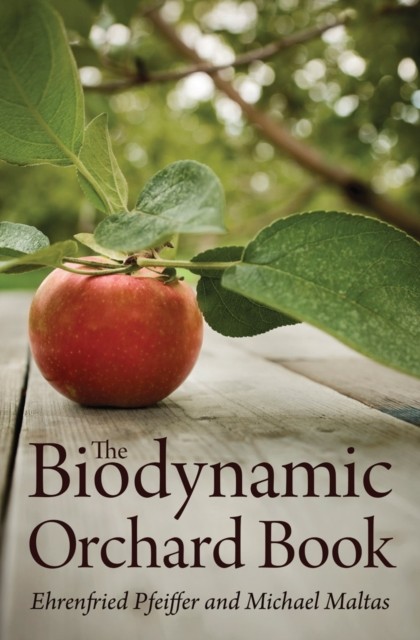 The Biodynamic Orchard Book by Ehrenfried E. Pfeiffer (Paperback Book)