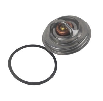 Thermostat Twin Jiggle Pin Für JCB | Teil Nr. 02/202107