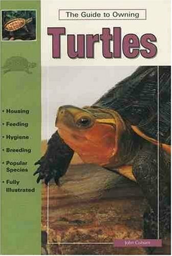 owning turtles