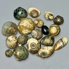 100% Natural Gobi Agate Eyes Agate Stone Collection Specimen