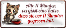 ''Ogni 11 minuti un gatto dimentica di aver mangiato'' insegna in latta 28x12cm