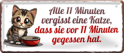 ''Alle 11 min vergisst eine Katze, dass sie gegessen hat'' 28x12cm Blechschild