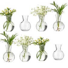 Plastic Propagation Vases 8 Bulbs,Desktop Plant Terrarium for Indoor Plants ...