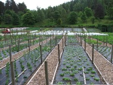 Photo 6x4 Balmoral Castle Gardens Crathie/NO2694  c2005