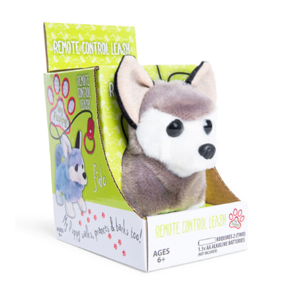 remote control leash my puppy