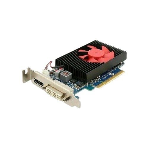 HP Nvidia GeForce GT 730 2GB Short Height Video Card 802315-001 DVI DisplayPort - Picture 1 of 6