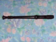 In good condition Musical Recorder for cheap sale