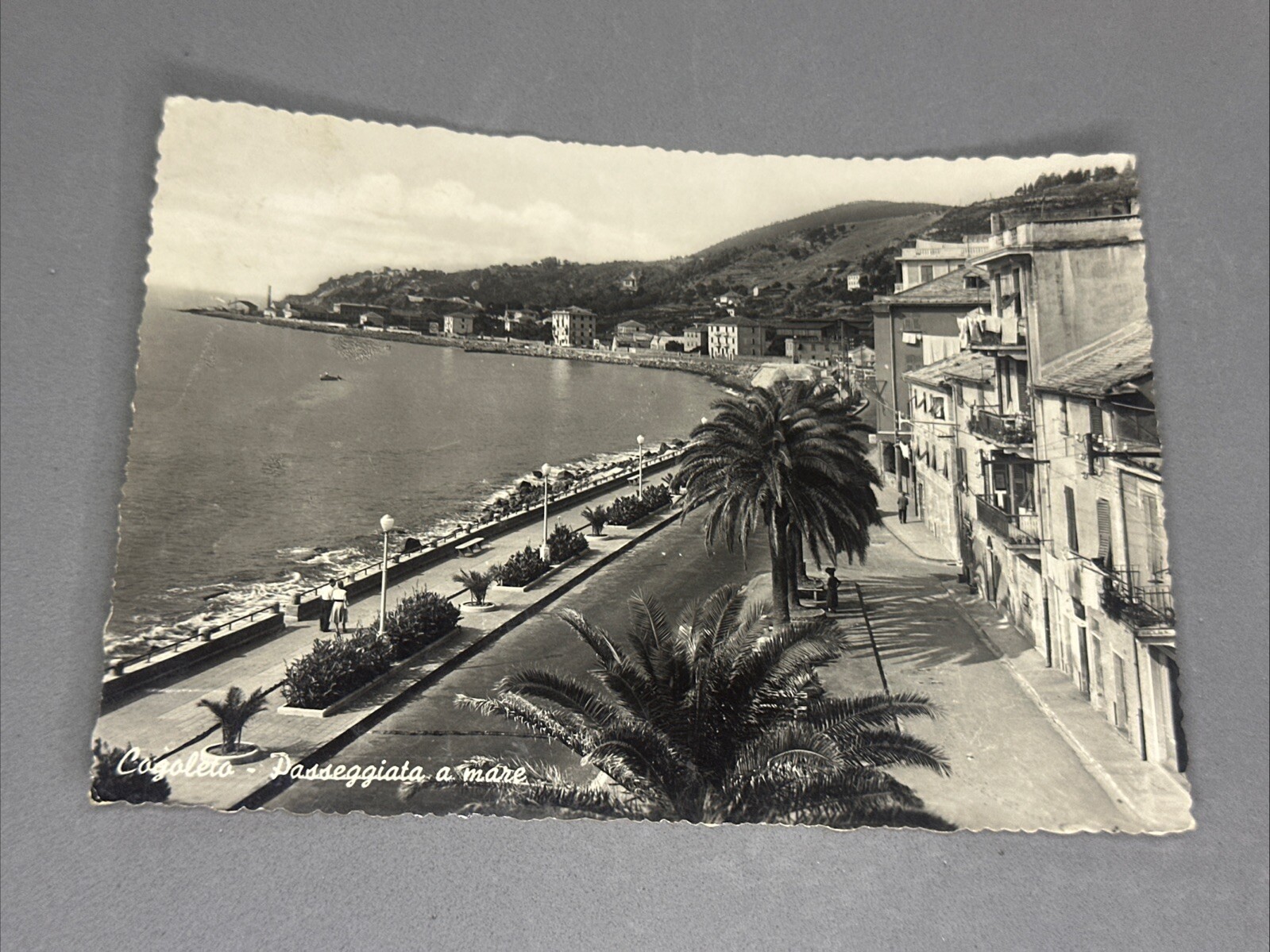 COGOLETO PASSEGGIATA A MARE VISTA - Cartolina Bianco E Nero
