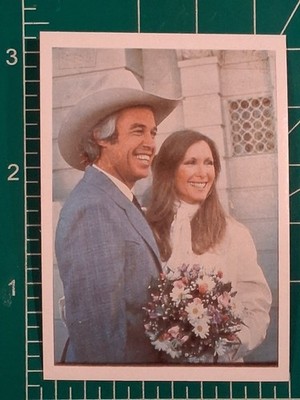 1982 DALLAS TV SHOW DE ESTRELLAS CARD STEVE KANALY as ROY KREBBS #24