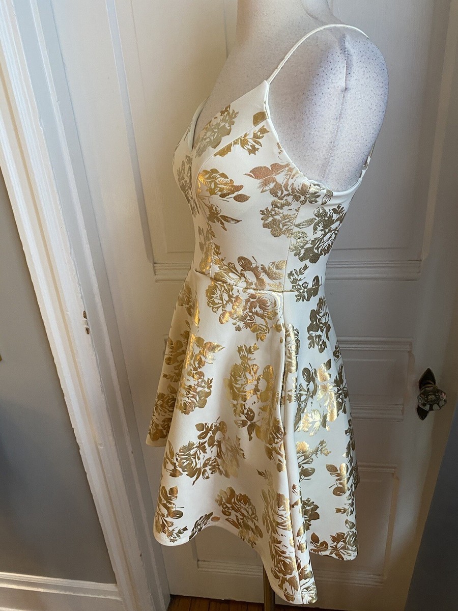 white and gold floral dress Shannon Floral Embroidered Mini Dress in white embroidery main image 1