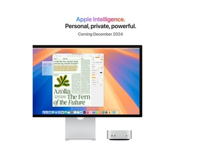 Apple Mac mini M4 10 Core CPU 10 GPU Workstation Apple M4 4.38 MU9E3D/A