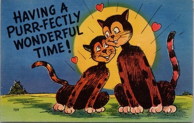 Vintage Cat Lovers Postcard Cute Cartoon Cats Romance Humor One Cent Stamp Era