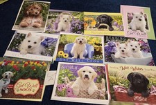 Lot A of 10 Assorted Puppy DOG GET WELL Greeting Cards All Have Texts Inside