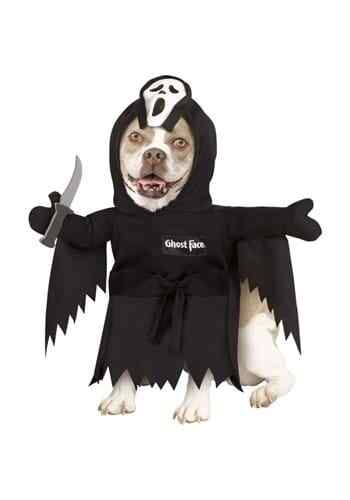 Disfraz de cara fantasma mascota - Imagen 1 de 1