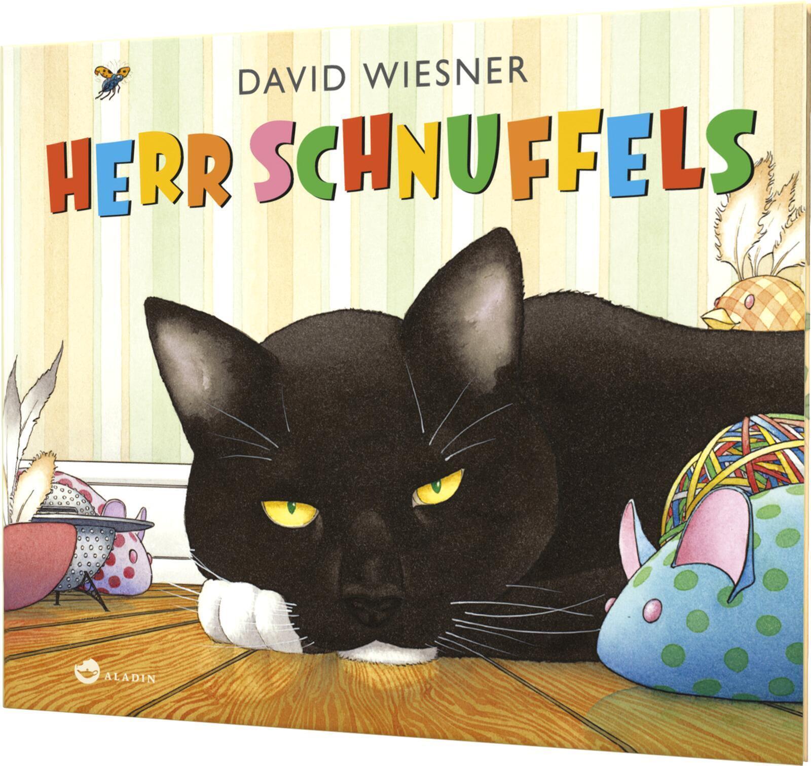 Thumbnail - David Wiesner Herr Schnuffels 9783848900664