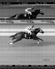 FOTOS DE SECRETARÍA ~ 8 x 10 ~ LOTE de 3 ~ ¡TODAS LAS 3 FOTOS TRIPLE CORONA! Preakness