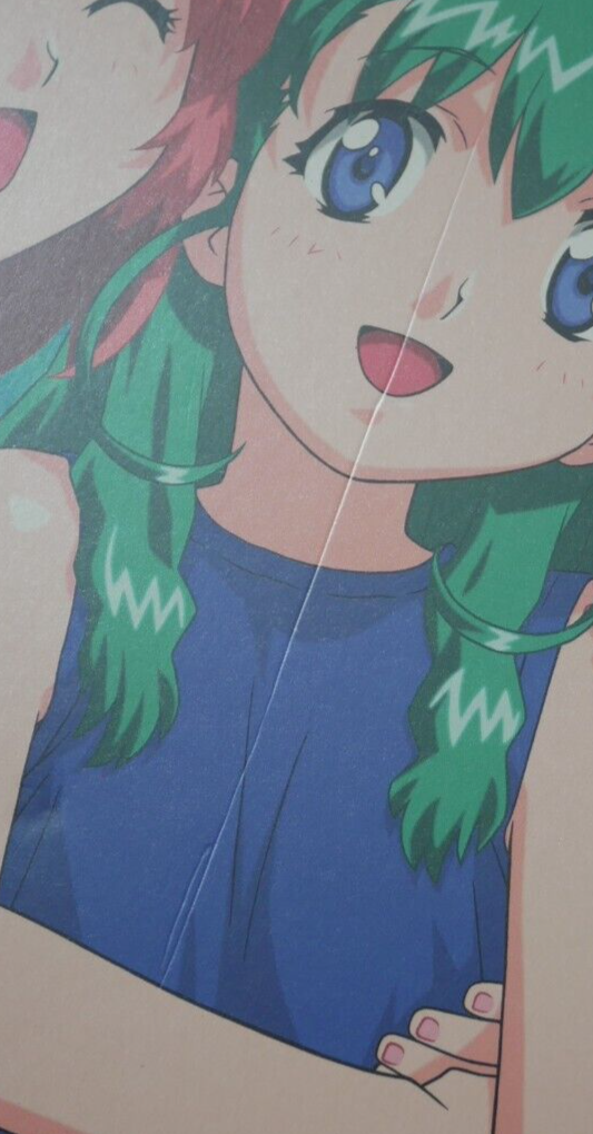 Please Twins! / Onegai Twins! Poster Book (Case Damage) - from