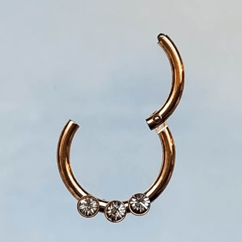 SEGMNENT SCHWARZ Piercing GOLD ZIRKONIA SEPTUM Nase Nasenpiercing Clicker sSex - Picture 8 of 18