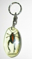 K&auml;fer in Kunstharz Indonesia Schl&uuml;sselanh&auml;nger Keychain NEU (A57v)