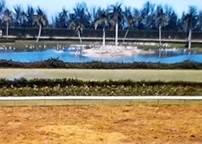 1960s Hialeah Florida Race Track People Family Home Vintage 8mm Movie Film