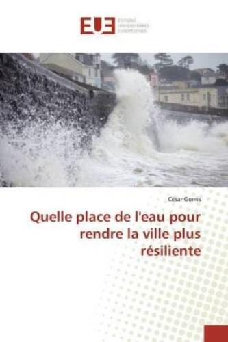 Thumbnail - Quelle Place De L'eau Pour Rendre La Ville Plus Résiliente 5503