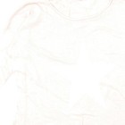 Bild 10 von 12