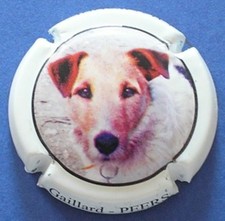 muselet capsule de champagne Gaillard- PEERS