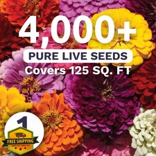 Zinnia Dahlia Mix Flower Seeds 1oz Packet 4000 Seeds 320.00 per gallon