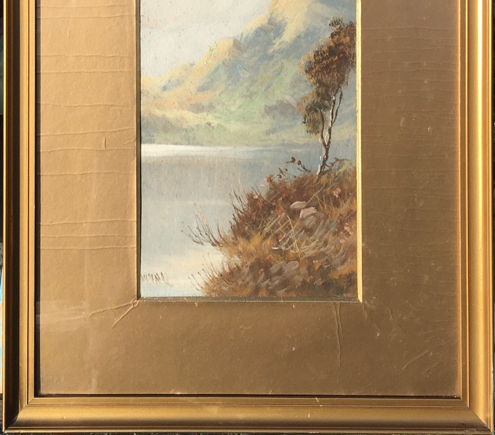 Picture 11 of 12