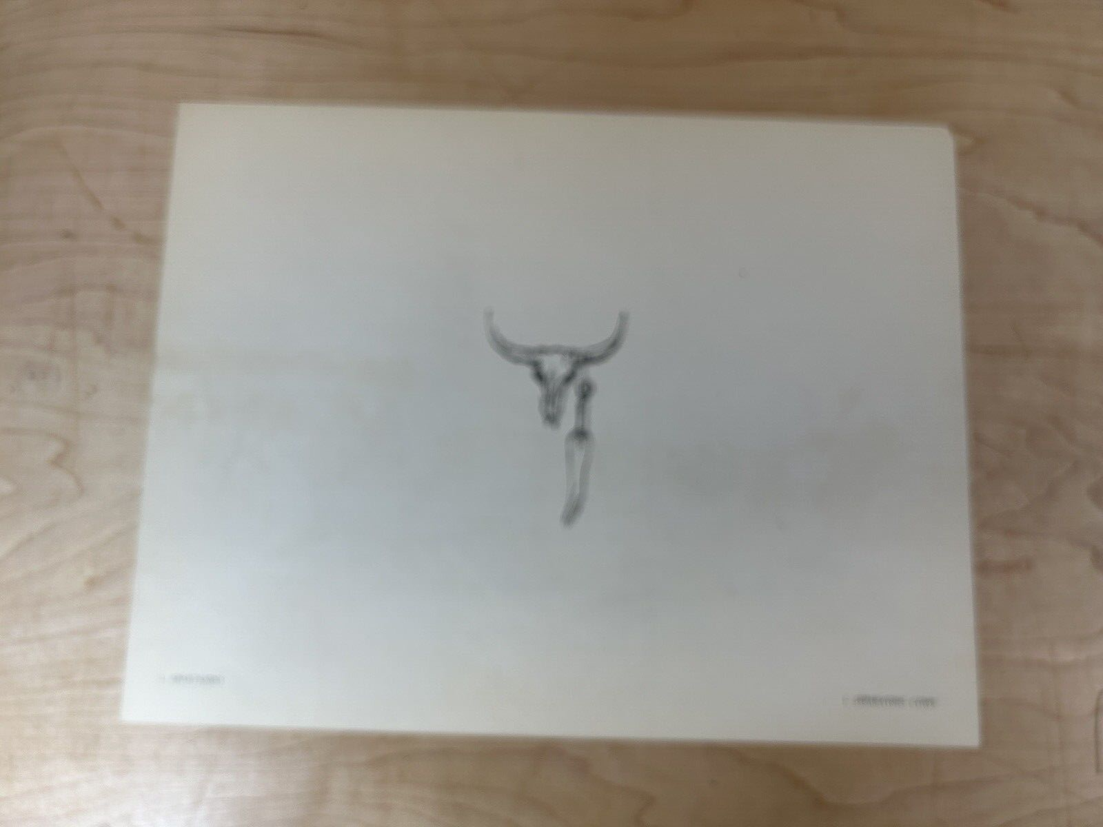 Picture 7 of 23
