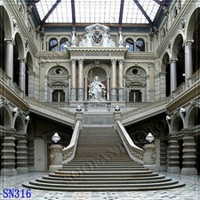 Indoor 10'x10' Computer-painted CP Scenic Photo Background Backdrop SN316B881