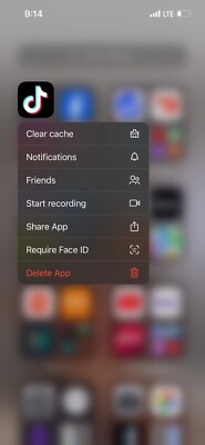 iPhone 13 With TikTok App